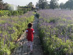 -静之湖湖畔餐厅