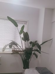 -上海首尔丽格医疗美容医院