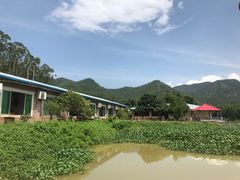 -将军陂美食山庄·瓦缸炭烧鸡