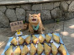 -昆山招商花园城