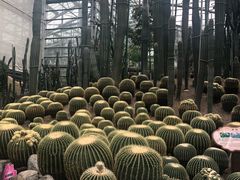 -南山植物园