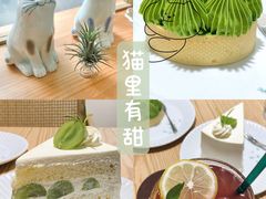 -猫里有甜