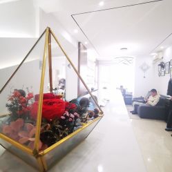 -臣丽纹眉品牌连锁