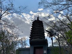 -高尔山公园