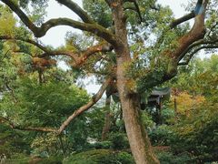 -浙江西子宾馆·瑶园咖啡厅