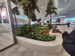 -青岛胶东国际机场