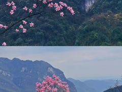 -九皇山景区