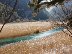 -九寨沟-树正沟