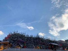 -布鲁塞尔大广场