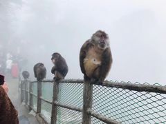 -峨眉山风景名胜区