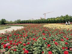 -水西公园