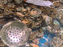 -亚马逊海鲜自助(梅溪湖步步高店)