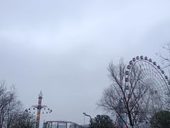 -洋湖国家湿地公园