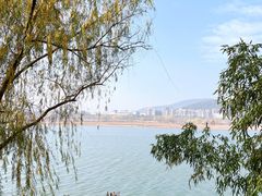 -橘子洲景区