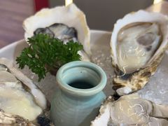 -探窝·竹笙椰子鸡(杨箕店)