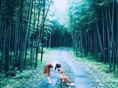 -黄公望隐居地