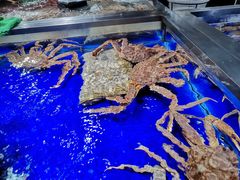 -盒马鲜生(新都心店)