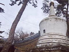-潭柘寺景区
