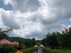 -横道河子东北虎林园