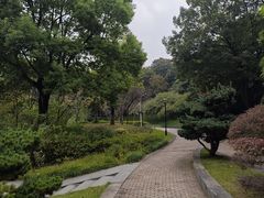 -日出青木