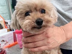 -爱侣宠医·鹦鹉专科·小型哺乳类·异宠专科(灵石路店)