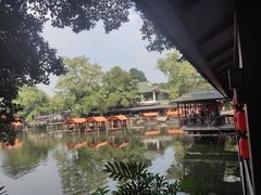 -侨美·唐荔园·40年地道粤菜