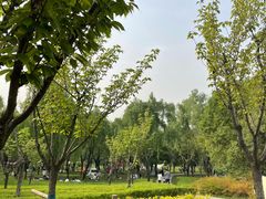 -洨河生态公园