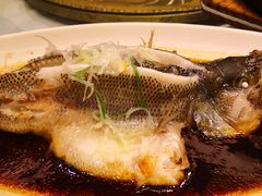 -大蓉和(双楠店)