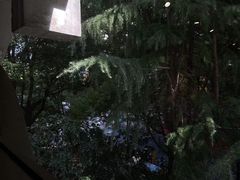 -mYSTEPS健身运动馆(古北店)