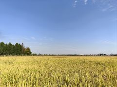 -嘉北郊野公园