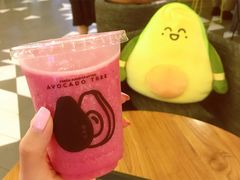 -油梨树 AVOCADO TREE(亮马桥店)