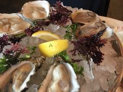 -db Bistro & Oyster Bar by Daniel Boulud(滨海湾金沙店)