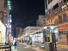 -宝健路步行街(Pedestrian Shopping Street)