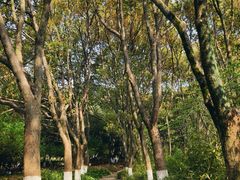 -白马涧龙池景区