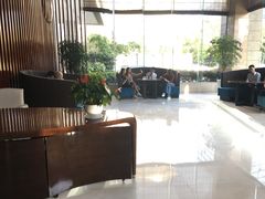 -长沙小天鹅戴斯酒店