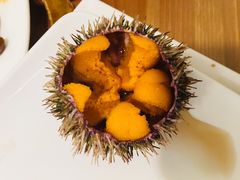 -海胆小馆(东北水饺·春柳店)