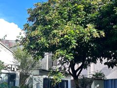 -民信老铺(华盖路店)