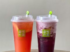 -奈雪的茶(赛格店)