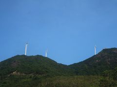 -广东惠东海龟国家级自然保护区