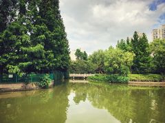 -黄兴公园
