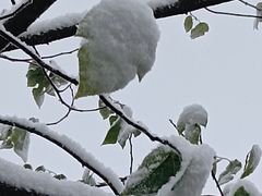 -杭州半山国家森林公园