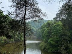 -南山植物园