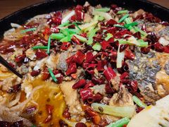 -老板恋上鱼(高新万达店)