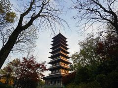 -宜兴龙背山森林公园
