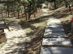 -元大都城垣遗址公园