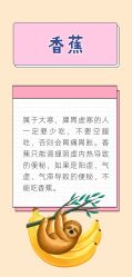-雅曼妮spa美容养生