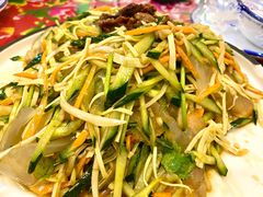 东北大凉菜-东北王食府(科大店)