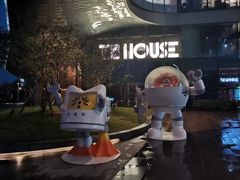 -TZ House音乐现场(来福士中心店)