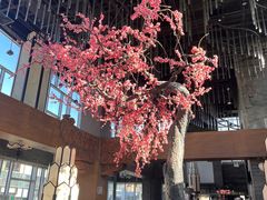 -大渔·观筵(三里屯太古里店)