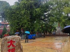 -大槐树寻根祭祖园